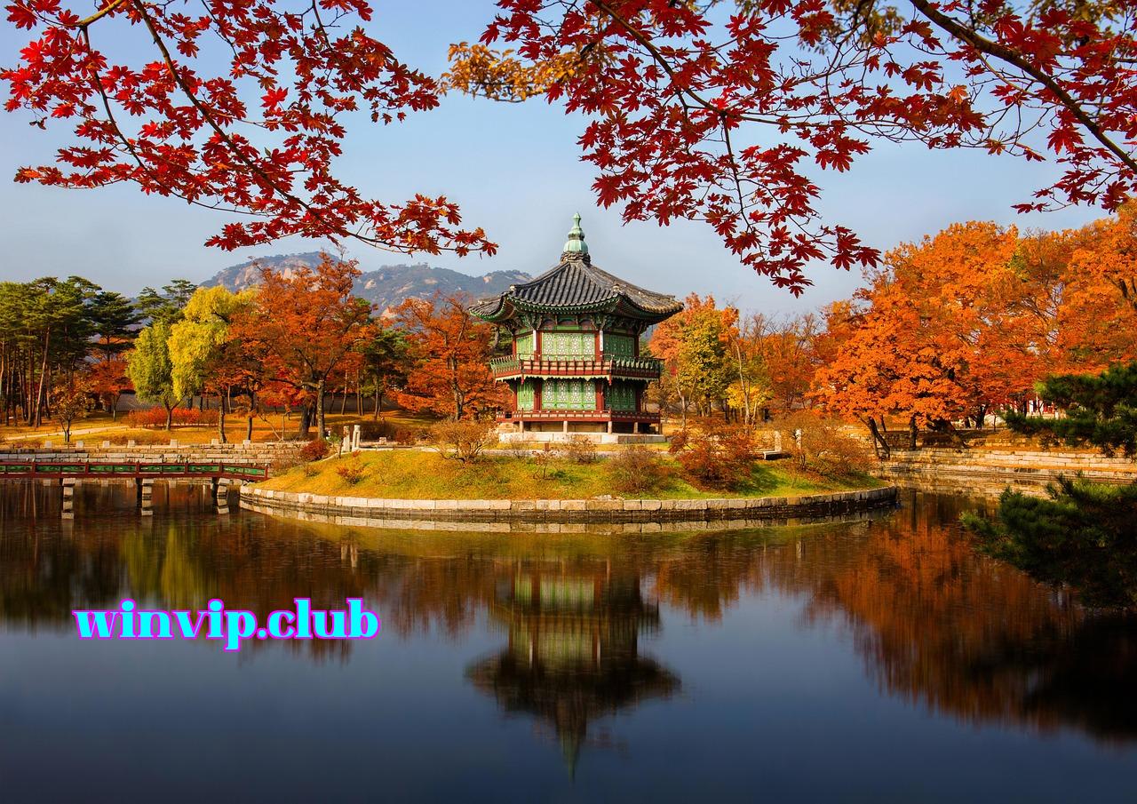 Featured image of post 25100554ee2f6260 - 2233win