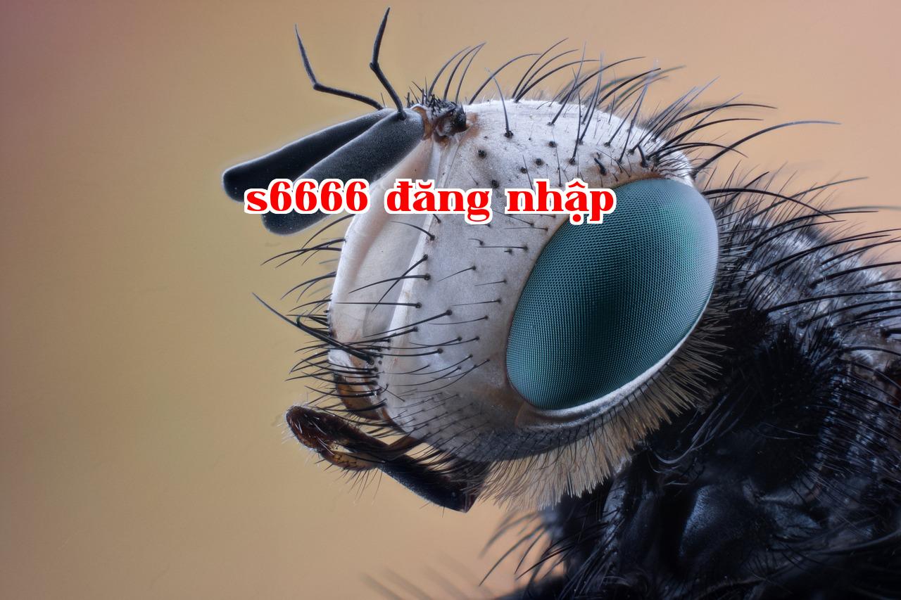 Featured image of post 2025-03-18 63720 chiều Lại thứ Ba rồi - b29 club