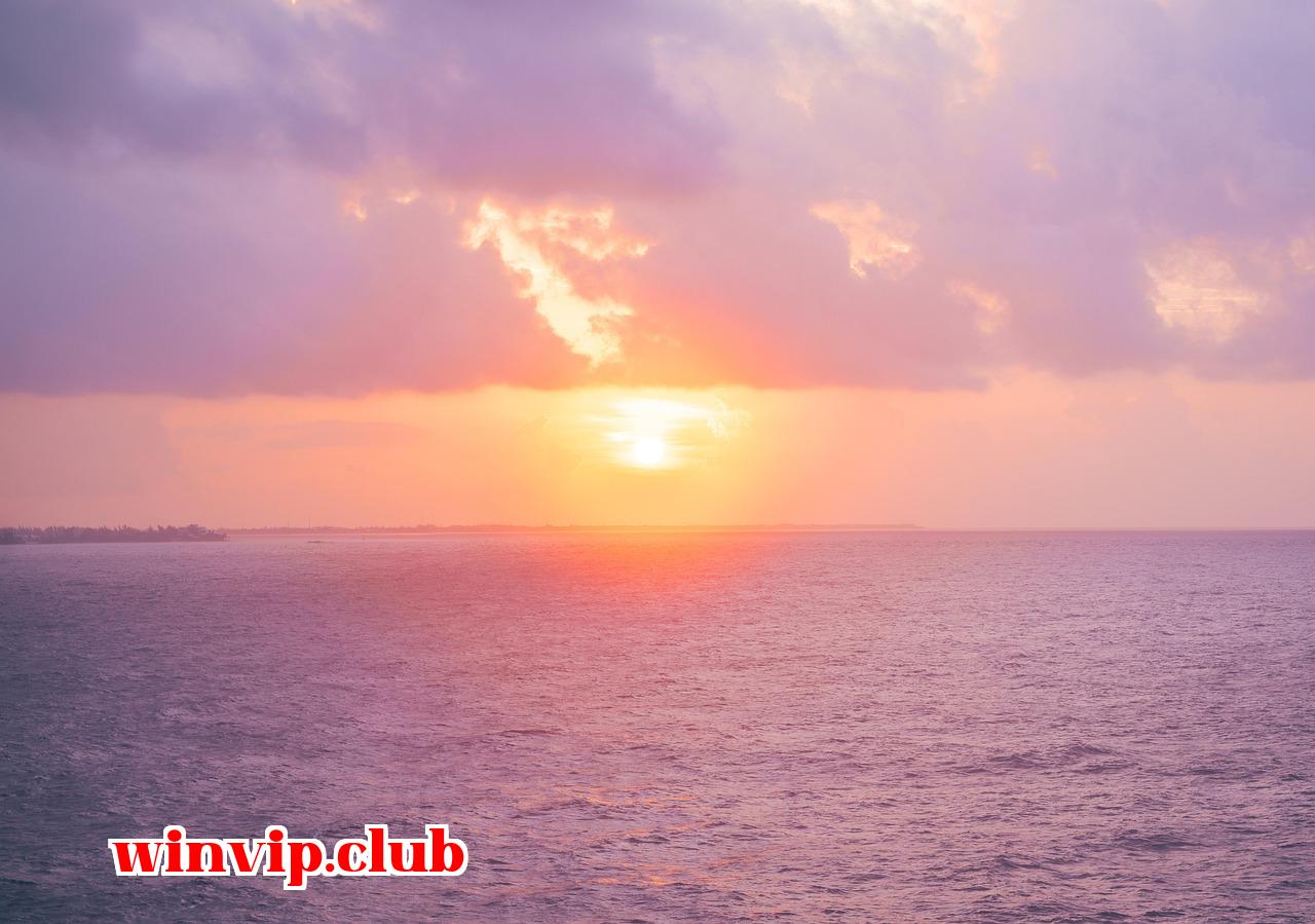 Featured image of post Hy vọng rằng nó sẽ sớm được giao trong tuần tới - b29 club