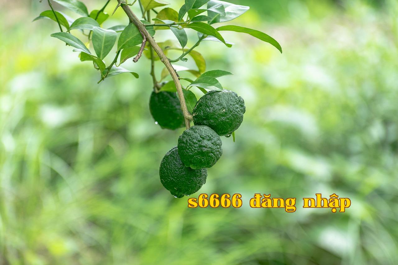 Featured image of post 627797823d555a13 - b29 club - nổ hũ tài xỉu game bài online