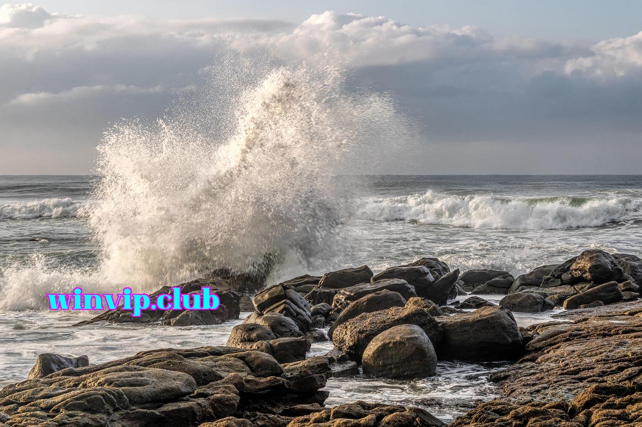 Featured image of post 000 yên là hoàn toàn bình thường - 2233win