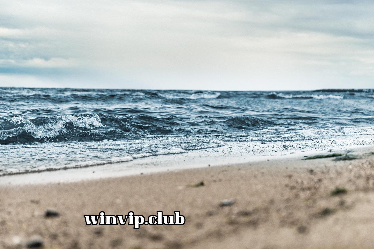 Featured image of post Mới đây mình muốn tiếp tục phát triển ý tưởng đó - 2233win